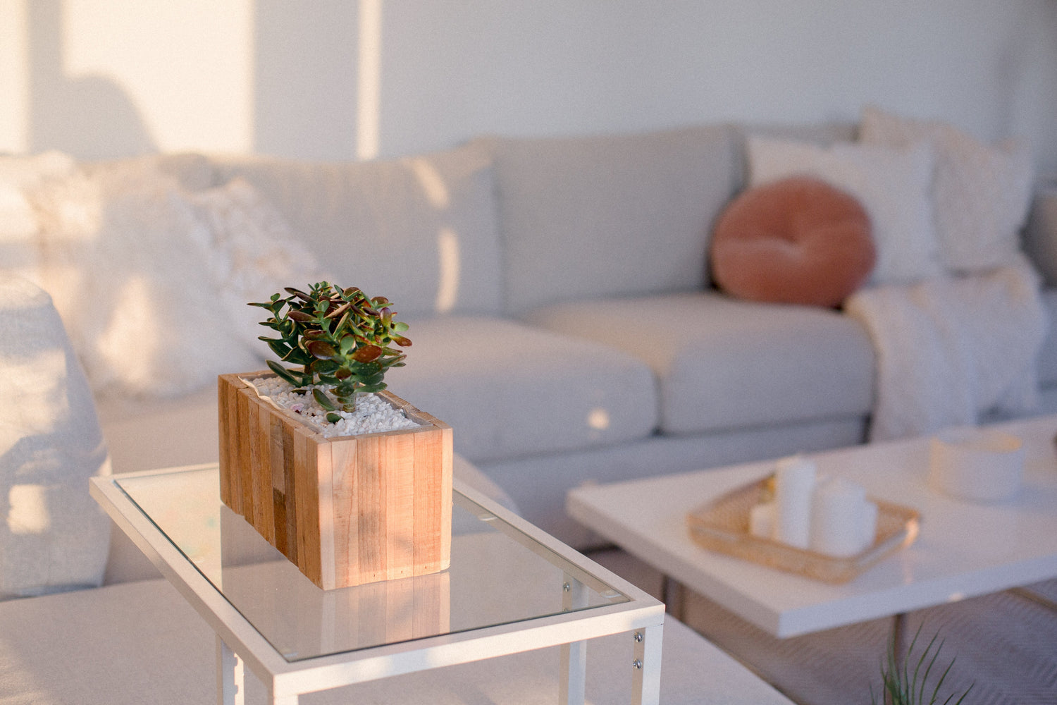 Home & Garden